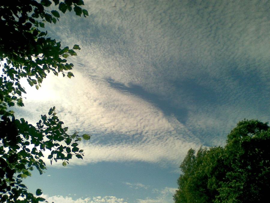 27 - 102883 - Summer sky of Finland - 