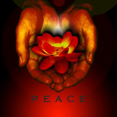 25 - 101413 - hands lotus peace - 