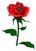 4 - 102227 - Small rose - 
