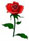 5 - 102228 - Tiny Rose - 