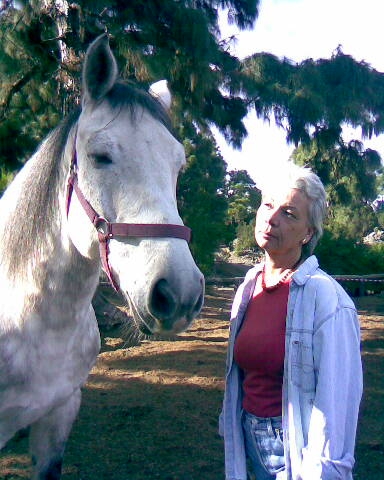 Martine D'Haeseleer